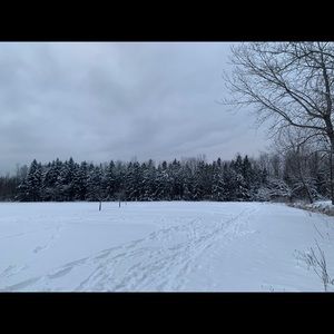 Meet your Posher, Steven j